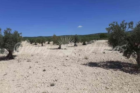 Ruinere i Yecla, Murcia, Yecla - € 19.000 | Ref: SF0406 - foto 3